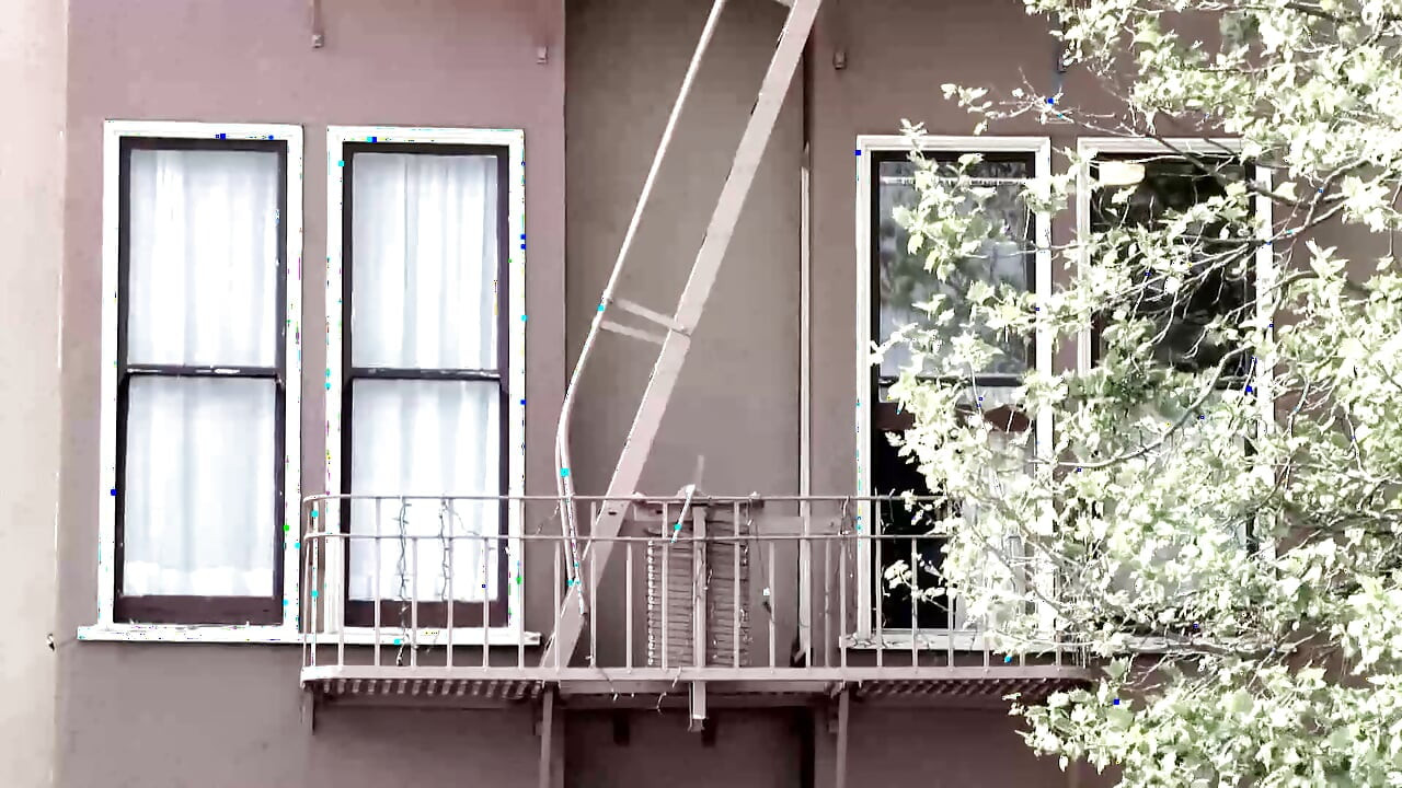 Into the Wilde, épisode 4