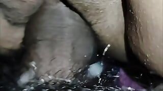 Seksvideo's op zijn hondjes