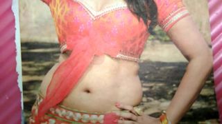 Priya Anand sexy thoppul cum tributo ahh