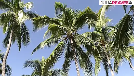 Сучка стонет, когда ее трахает огромный член после минета