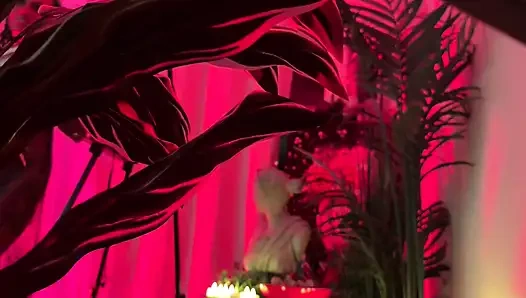 Red passion bts mit Wetkittycity