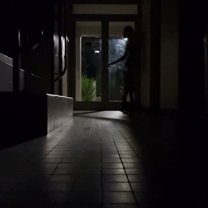 The Grand Tour Ultrawarm of Its Immeuble, Cumshot Finish in the Cellar. Vanessabitchx Parischiennetrvprod⁹¹