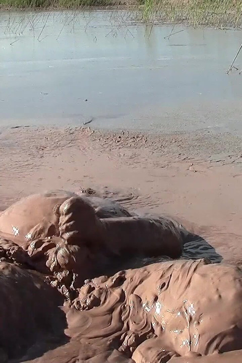 Mud Heaven