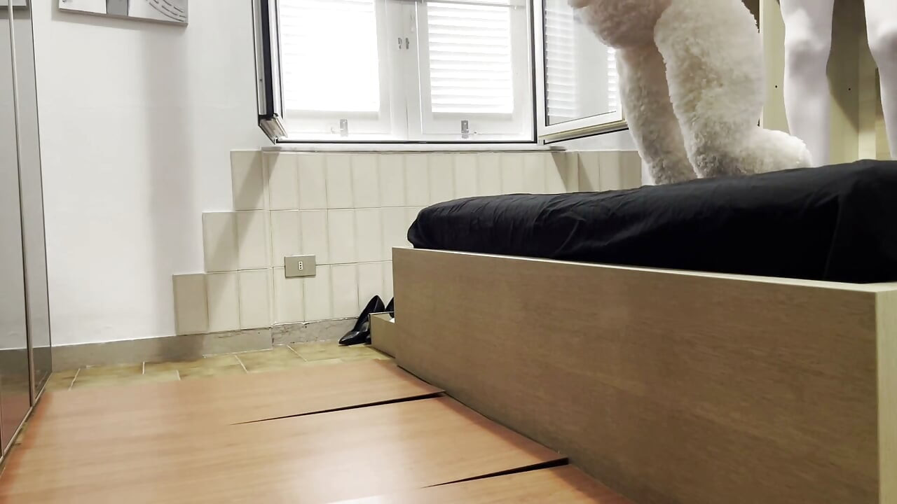Heels Trample Teddy EP. 1