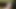Horny big black fat monster dick for wet pussy