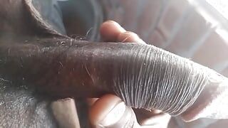 Grande pau preto masturbação, menina indiana beijando desi grande pau preto e fode por pau duro