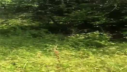 cumming dışında harika son