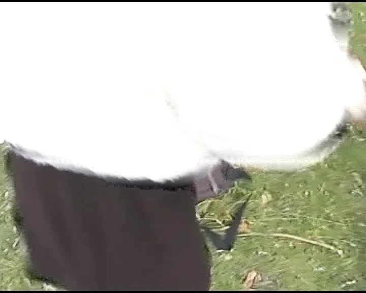Sexy German blonde dolls rubs her cunt in solo scene