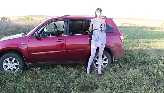 Fucked in the Back Seat of the Car Itself