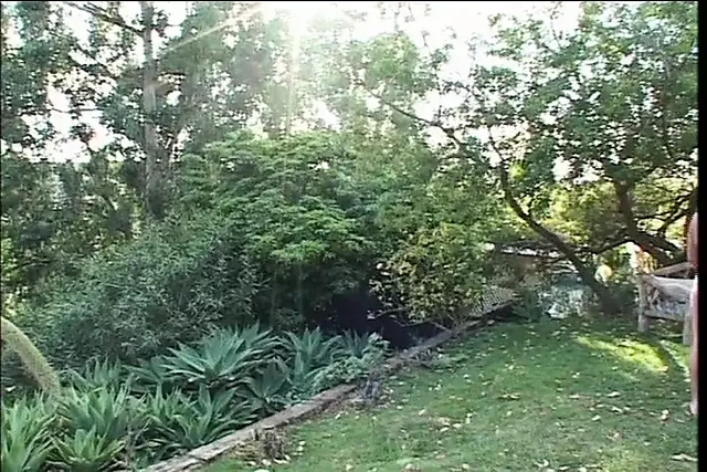 Adam & Eve in the forbidden forest, making depraved sex