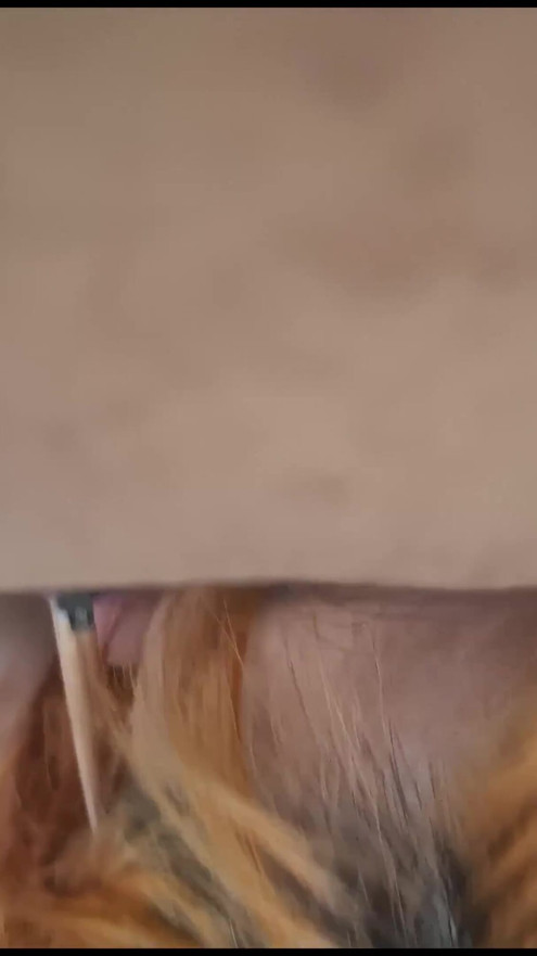 Small tits transgirl give blowjob to random guy | Clip 1