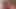 デイジーロックと6月の夏