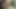 Giving My BBW Stepmother a Taste of My Cum