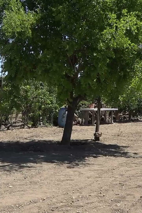 Blonde MILF is draining guy's hard cock outdoors