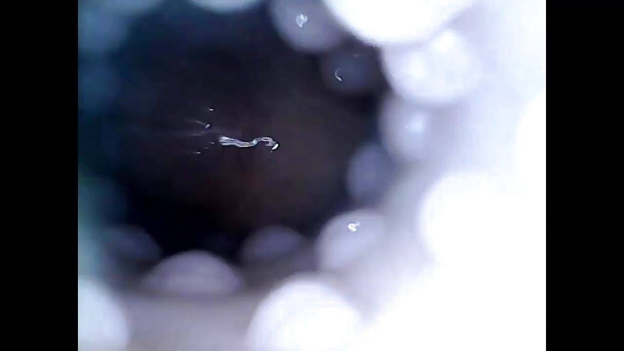 Internal closeup fucktoy