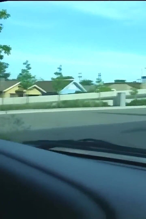 Menunggu persetubuhan hari ini