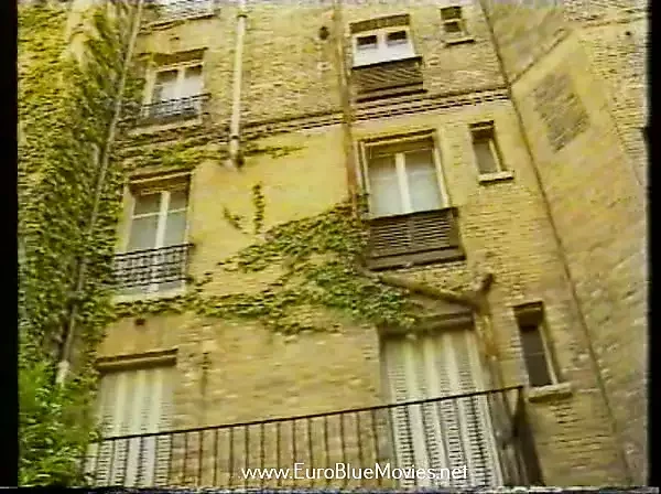 Bunny Anal (1993)