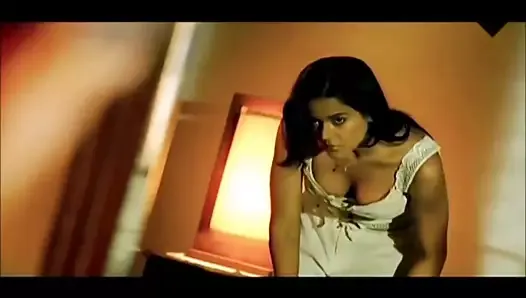 Nonporn, Sameera Reddy et Koena Mitra séduisent la scène de Bollywood