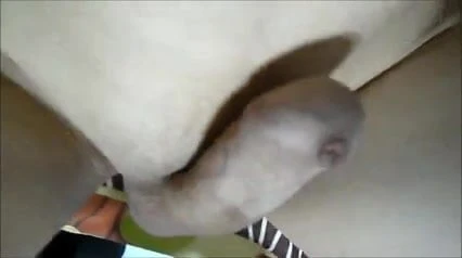 Quick View of my Penis