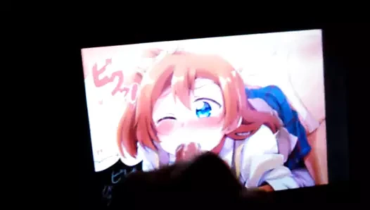 Honoka kousaka'ya sop (canlı aşk!)