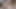 VIP4K. Seksi gastarbeiter aşk için emiyor