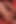 Ateşli Lezbiyen Yalama Seansı - Iki Seksi Alman Kız Birbirlerinin Amlarını Yalıyor