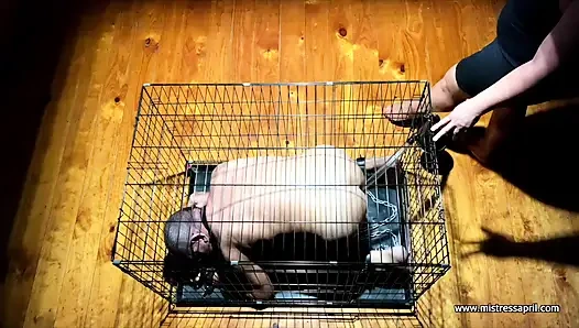 Dominatrix sahibe April - sikimi çıkar - staaiotr