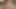Blowjob Under My Control! You Can Cum Only When I Let You!