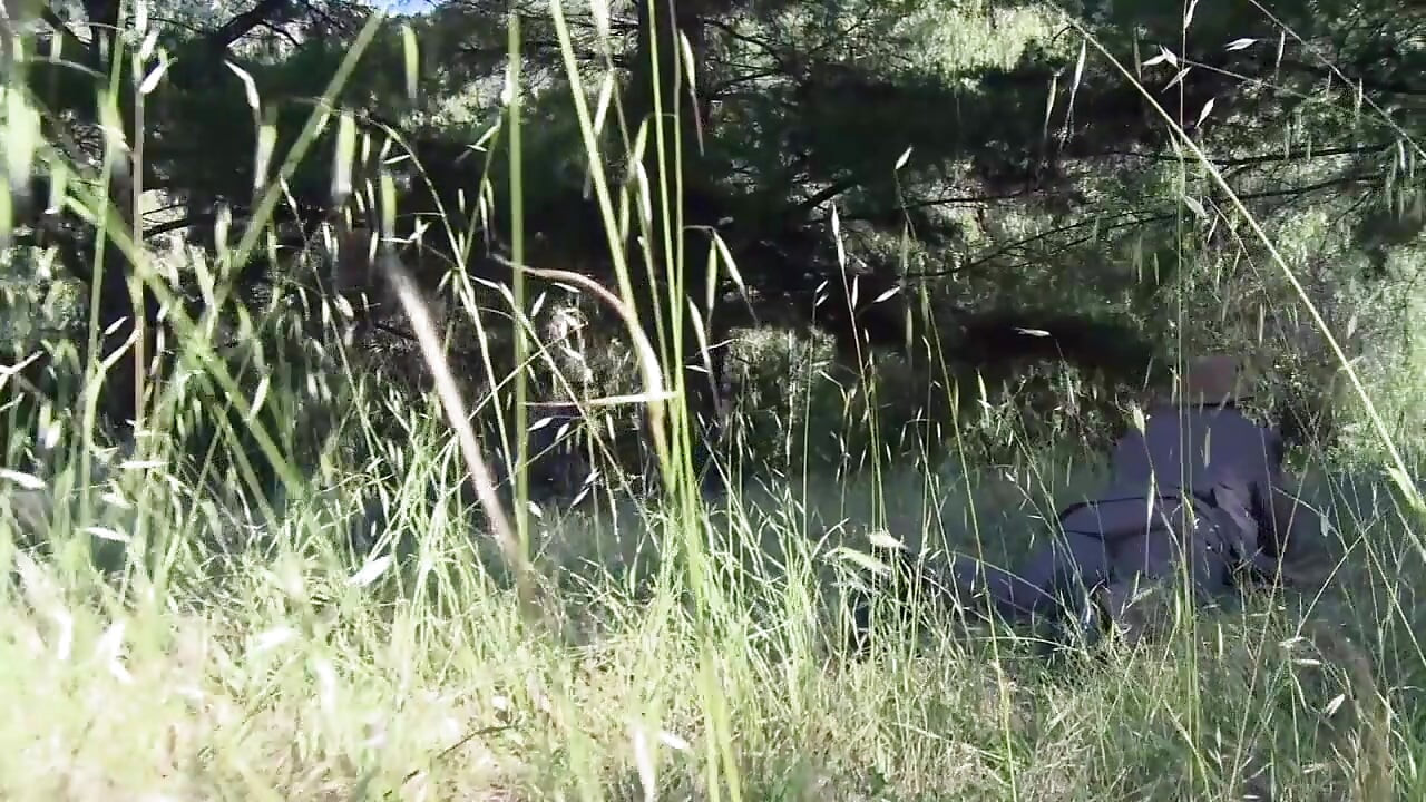 غرباء يمارسون الجنس في الهواء الطلق