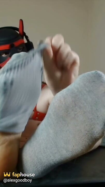 Puppy Puts His Paws Right in Your Face