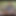 A Wank Video