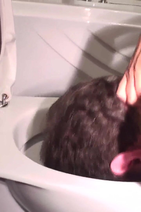 Babe Makes Him Have From the Toilet