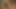 Orgy with Many Beautiful Teens Girls Fucking and Sucking Big Cocks