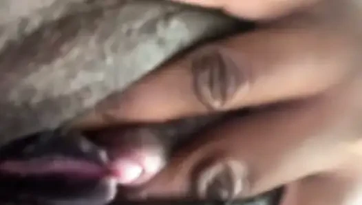 Ass, Titties, and Wet Pussy