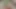 Yukihana lamy missionars-sex, hentai elfen mädchen große booms Mmd 3D grüne haare farbe edit smixix