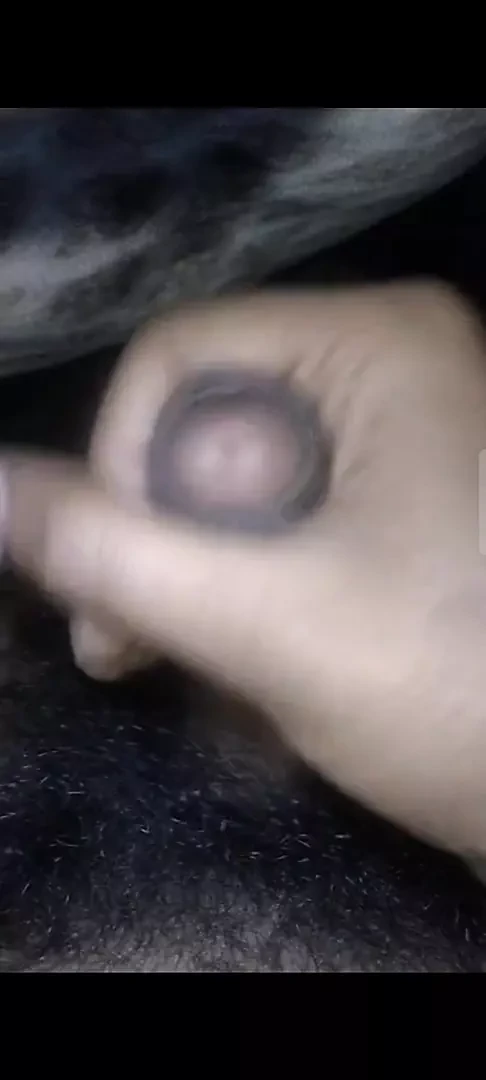Chainese hairy white cock Jerk