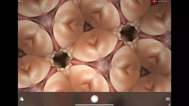 Inverted Kaleidocum
