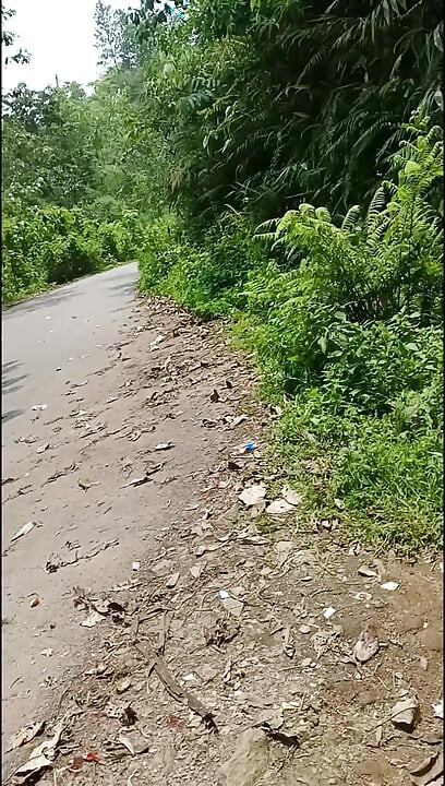 I took off my clothes and masturbated by the roadside
