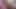 The album of Elaine discord