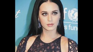 Katy Perry omaggio 11
