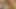 Small Pet Fucked Hard POV