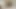 Portugese stud using cuckcum22 sissy slag