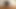 Tutku yapay penis pantolon giyiyor ve yaramaz konuşuyor