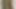 Watch My Cock Grow and my Dick Cum