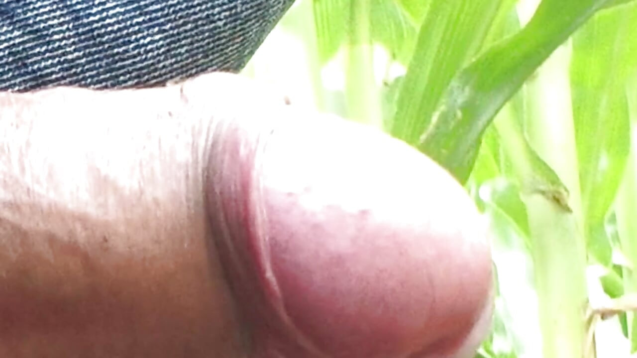 Action virale mondiale en solo desi, vol. 13 - amateur sans visage premium, gros plan, caresses intenses, masterclass 4K