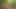 Daddy Getting Fucked in the Forest