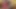 Sugar has a great arse
