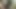 GeileTittenstute16