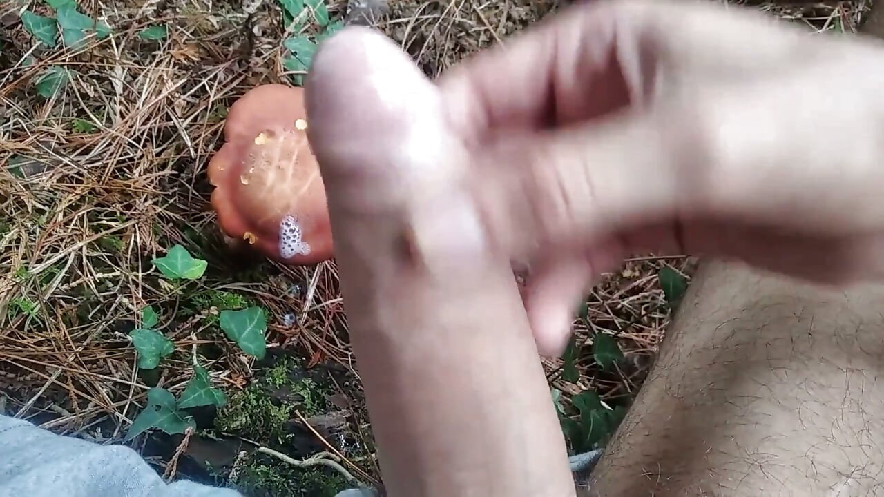 Hiker Takes Out His Dick Looking for Mushroomsand Unloads Semen in One of Them