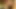 Seksi bilgisayar inek parmakları küçük yarağıyla değiştiriliyor